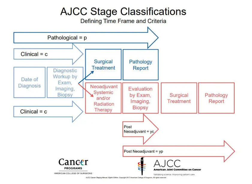A diagram of a stage classification
Description automatically generated